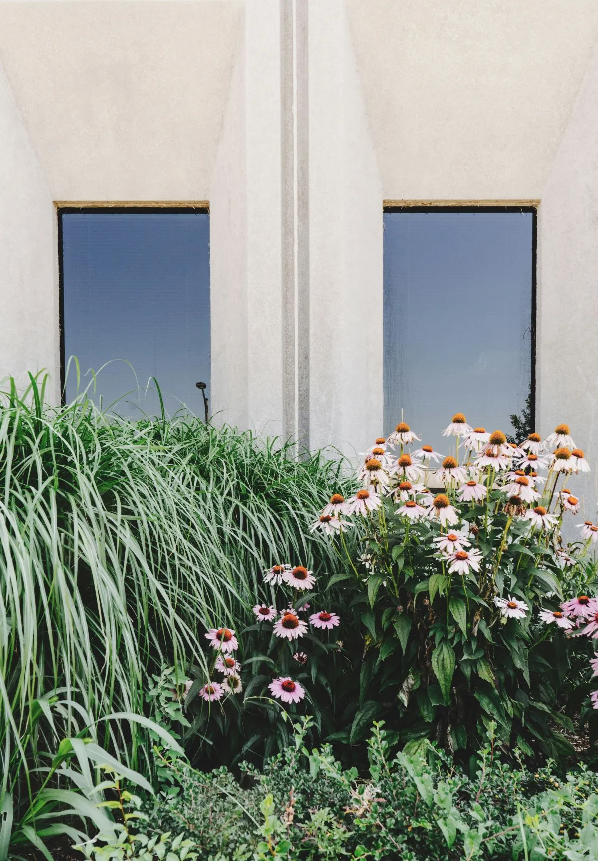 Tuinaanleg door hovenier